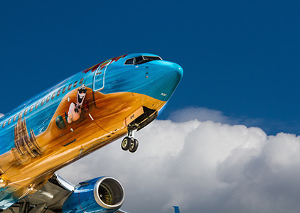 airplane-300px
